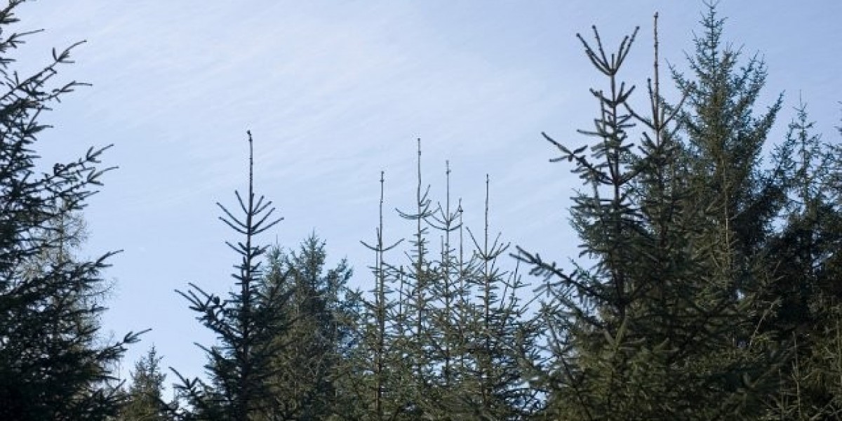 Wachstumshormone als Therapieoption