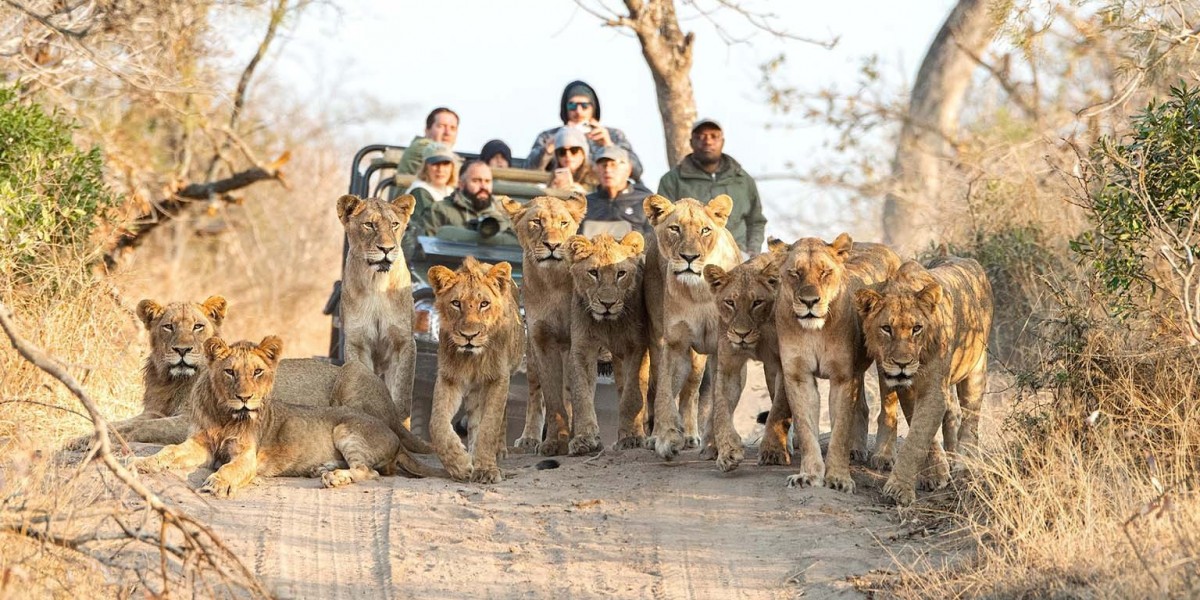 When to Visit Africa for Wildlife, Culture & Adventure Travel