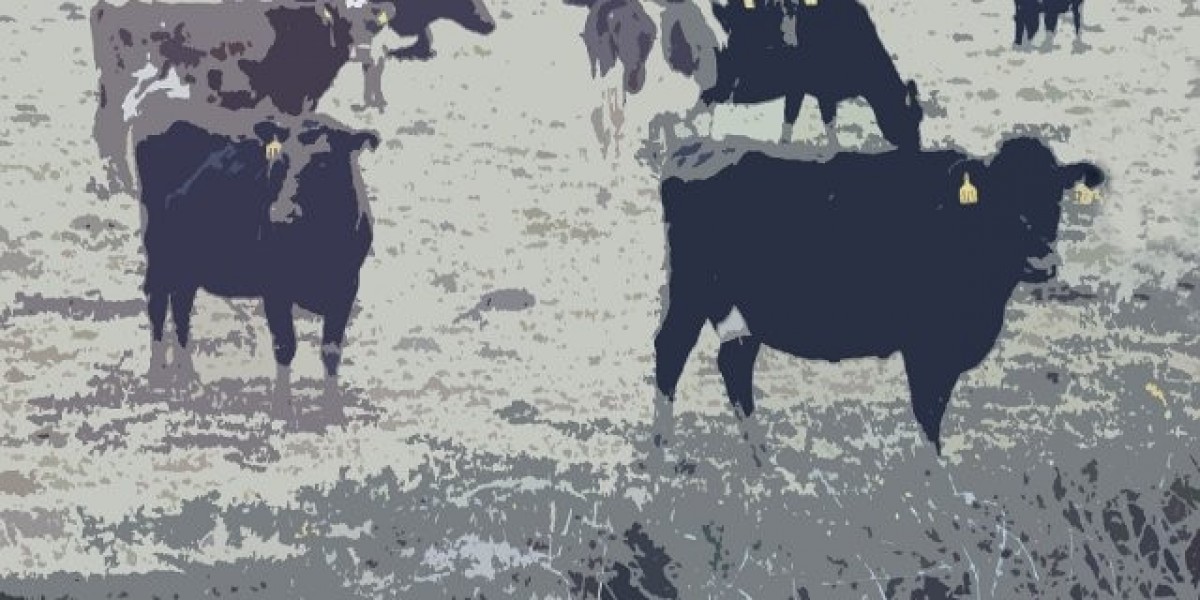 Hotels near Crown Casino Melbourne from $48 night