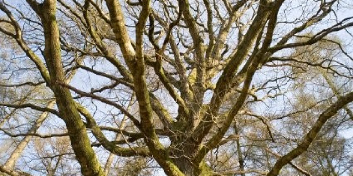 Crown Perth Gains Suitable Finding to Retain Casino License