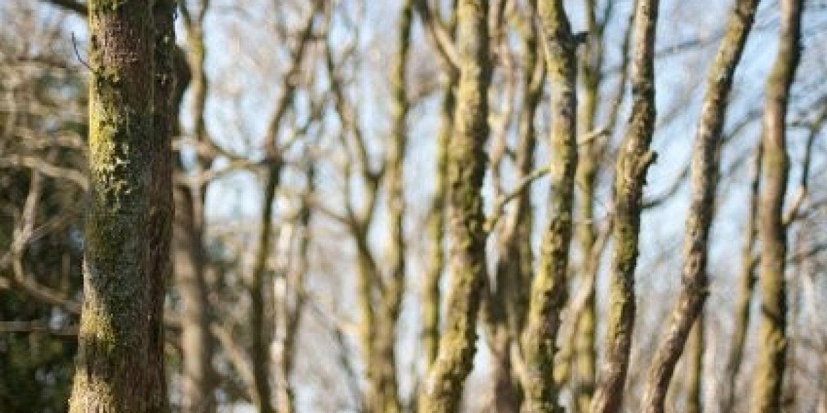 Fair Go Casino Bonus Codes & Review