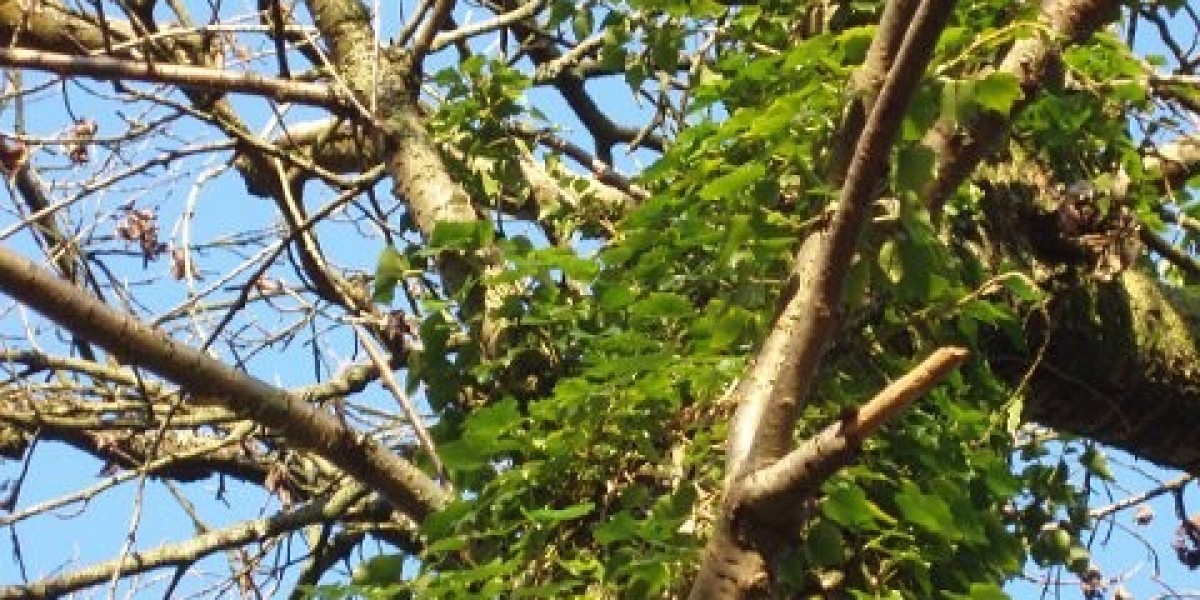 Meet the People Behind the Play