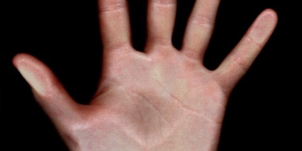 Bonuses, Games & Payout Speed Analysis