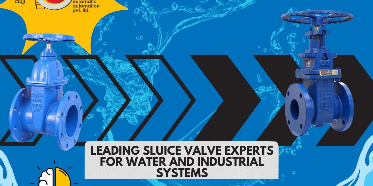 India’s Trusted Sluice Valve Manufacturers for Modern Pipelines – Ahmedabad’s Leading Experts