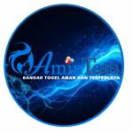 amintoto Profile Picture