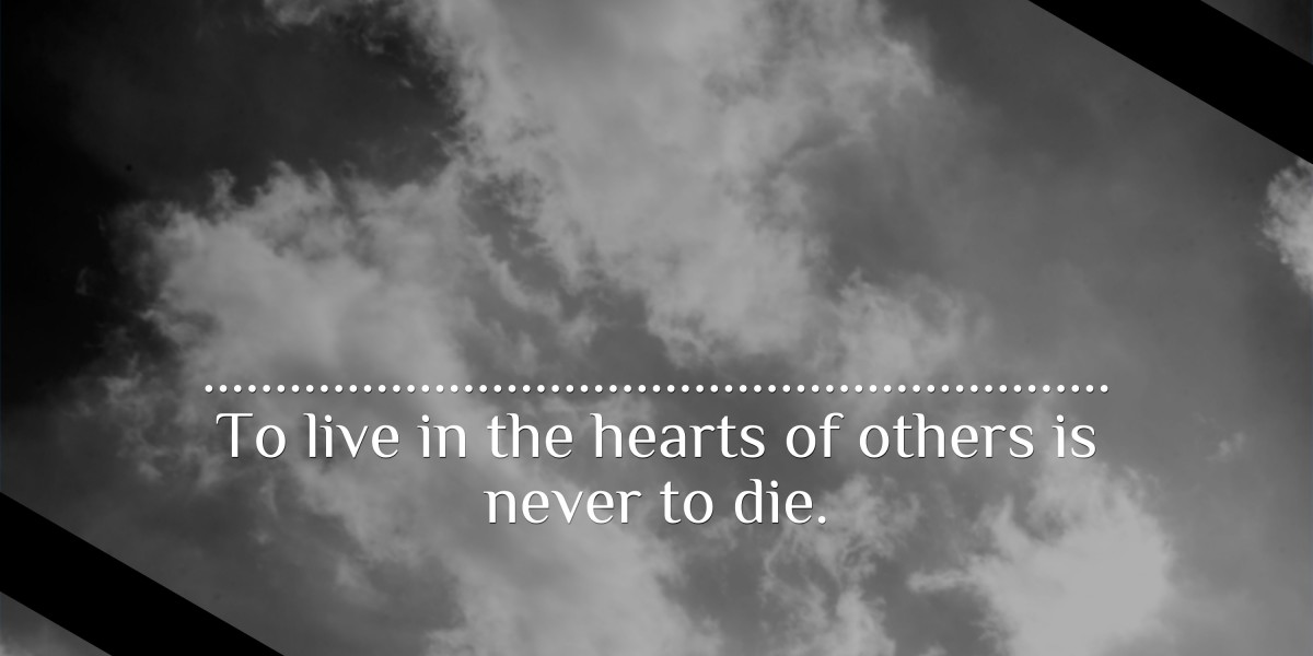 Observational Insights into the Purchase and Use of Modafinil: Trends and Implications