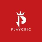 Playcric Official Profile Picture